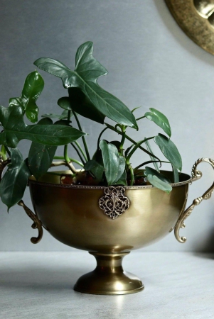 brass-centre-piece-bowl