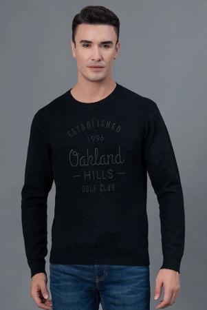 RedTape Casual Sweater for Men | Warm and Cozy | Adaptable Style