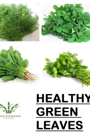 como-of-healthy-green-leaves-spinach-dill-fenugreek-coriander-soya-methi-palak-dhaniya-500-seeds