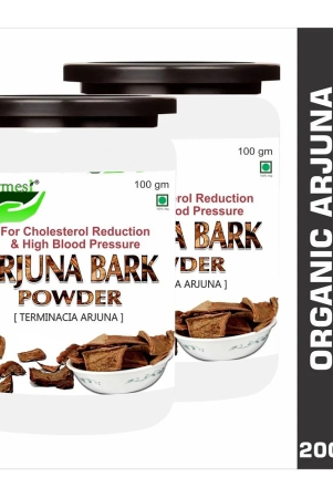 rawmest-arjuna-bark-powder-100-gm-pack-of-2