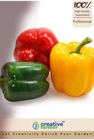 creative-farmer-pepper-agro-capsicum-f1-colored-seeds-seed