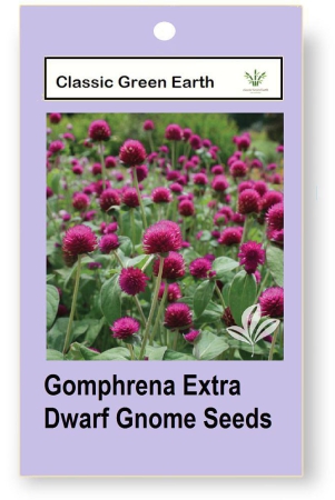 classic-green-earth-gomphrena-flower-50-seeds-