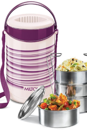 milton-stainless-steel-lunch-box-4-container-pack-of-1-