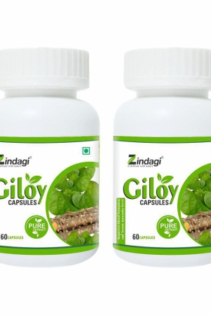 zindagi-pure-giloy-capsule-120-gm