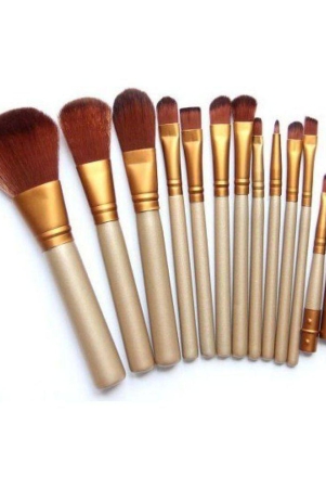 mayu-urban-decay-naked3-makeup-brush-set-of-12-without-storage-box-1-gm