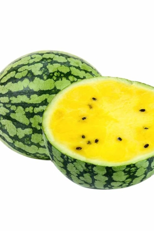 melons-water-melon-yellow-flesh-appx-25kg-to-3kg-3-kg