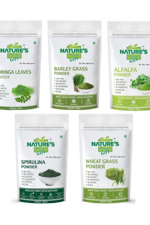 natures-gift-green-super-food-combo-pack-100-gm-each-powder-500-gm-pack-of-5