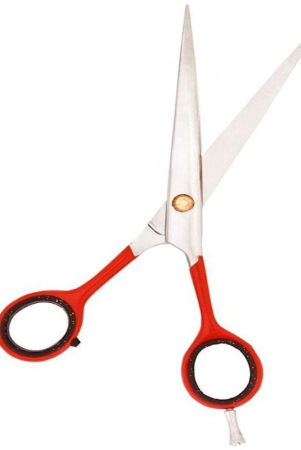 dhanishka-moustache-scissors