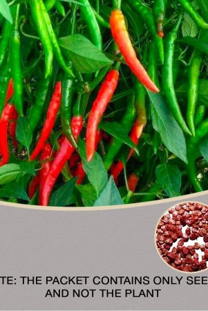 f1-hybrid-chilli-mirchi-vegetable-seeds-for-kitchen-pack-of-20