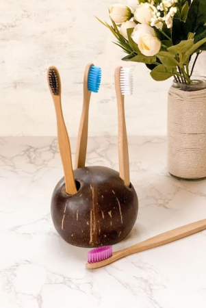 Coconut Shell Toothbrush Holder