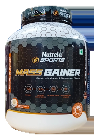 patnutspo-mass-gainer-frvan-ice-2kg