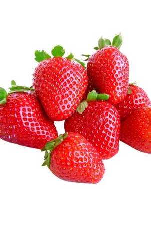 berries-fruit-strawberry-local-1-packet