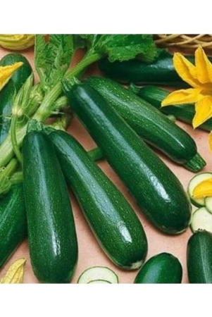 summer-squash-chappan-kadu-organic-vegetable-seeds-10-seeds