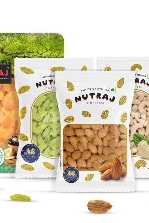 nutraj-100-natural-premium-mix-dry-fruits-combo-500g-almonds-cashew-kishmish-apricot