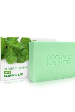 gentle-cleansing-bathing-bar-mint-125g