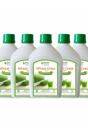 bhumija-lifesciences-plain-wheat-grass-juice-health-drink-liquid-5-l-pack-of-5