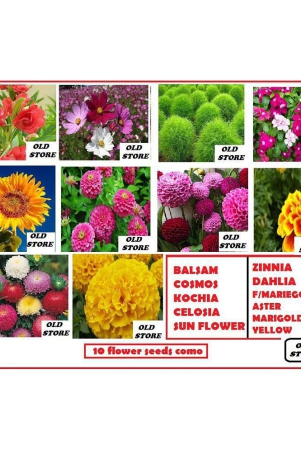 10-flowers-seeds-combo-more-than-200-seeds-pack-with-free-coco-peat-and-user-manual-for-gardening-use-dahliazinniafrench-mariegold-giant-yellow-mariegoldcelosiacosmosverbenalupinsun