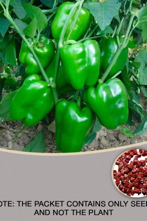 homeagro-capsicum-vegetable-seeds-pack-of-30