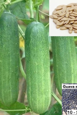 homeagro-cucumber-vegetable-seeds-pack-of-50