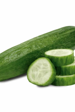 namdhari-cucumber-mini-pb-500-gm