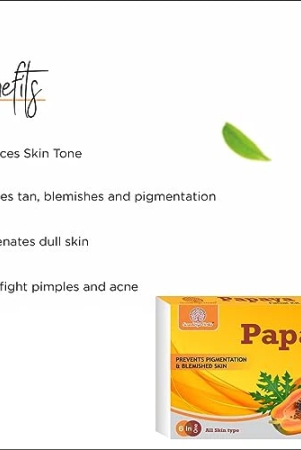 soundarya-herbs-papaya-facial-kit-for-blemish-free-and-fairer-skin-hydrated-brightening-fresh-looking-skin-all-skin-types-no-parabens-sulphates-pack-of-2