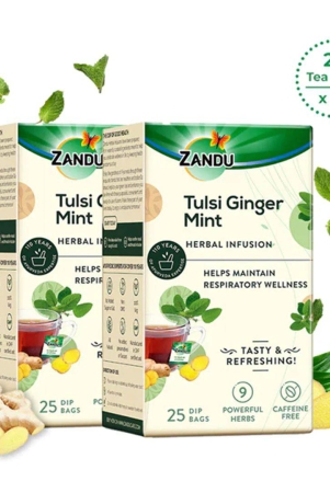 tulsi-ginger-mint-herbal-infusion-25-tea-bagsbuy-1-get-1