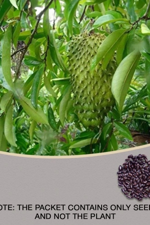 azalea-gardens-soursop-seeds-annona-muricata-prickly-custard-apple-fruit-seeds-20-seeds