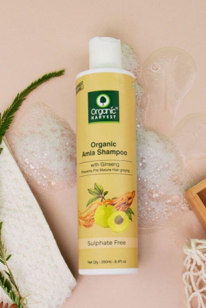 organic-amla-shampoo-premature-greying