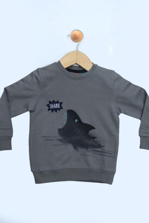 BOYS PRINTED SWEAT SHIRT