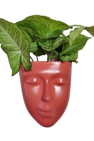 DZIGN Hanging Wall Planter, Face Planter, Balcony Planter, Wall Hanging Indoor Planter, Outdoor Planter, Head Planter for Home Decor and Garden Hanging. Orange Male Face Planter Pack of 1.