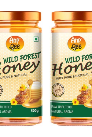 anp-bee-wildflower-honey-wild-forest-honey-500-g-pack-of-2