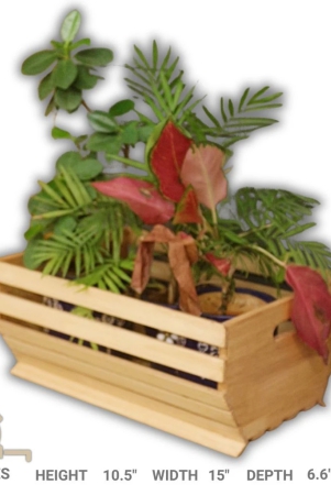 Barish - Handcrafted Rubberwood Planter Basket | Planter Baskets Living Room | Storage Baskets | Ideal for Gifting