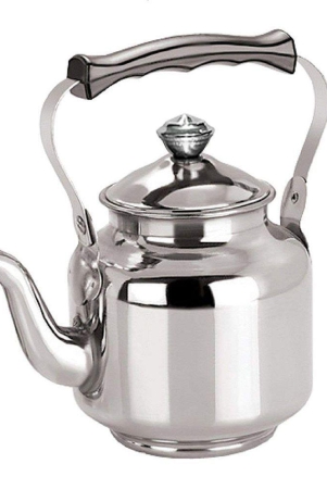 hometales-stainless-steel-kitchen-tea-kettle-800ml-silver