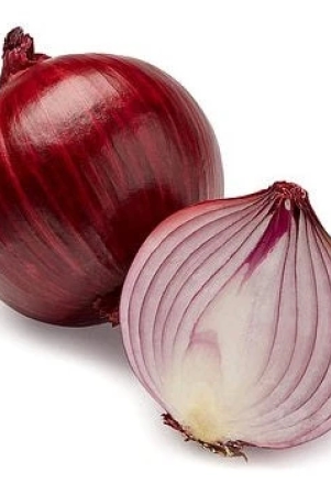 Red Onion seeds | Vegetable Seeds