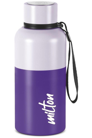 milton-ancy-500-thermosteel-water-bottle-520-ml-violet-24-hours-hot-and-cold-easy-to-carry-rust-proof-tea-coffee-office-gym-home-kitchen-hiking-trekking-travel-bottl