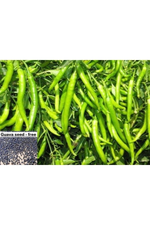 homeagro-chilli-vegetable-50-seeds-