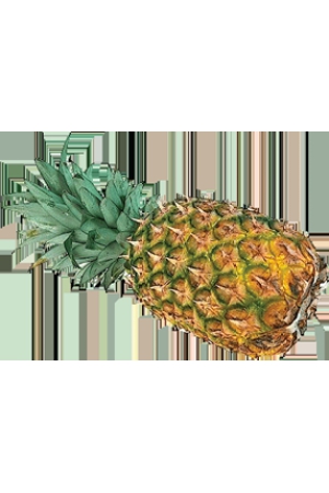 pineapple-1-kg