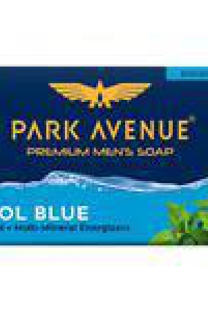 park-avenue-bathing-soap-cool-blue-125-g