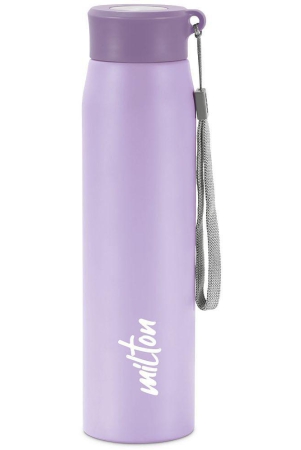 Milton Handy 850 Stainless Steel Water Bottle (780 ml) Purple - Purple