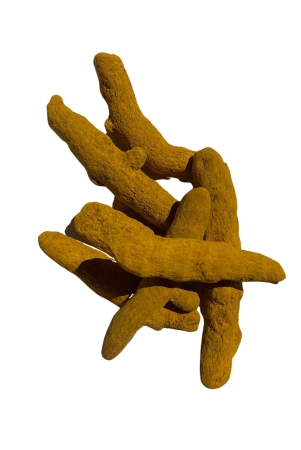 turmeric-stick-haldi-gatiya-250-grams