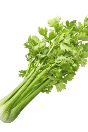 Namdhari Celery, 1 Kg