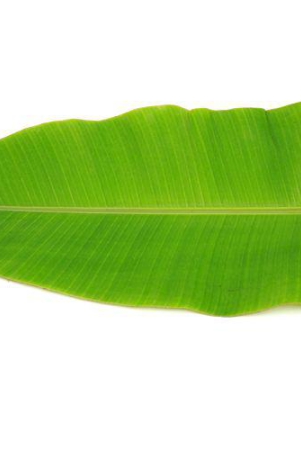 banana-leaf-1-pcs