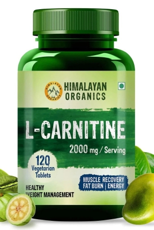 himalayan-organics-l-carnitine-2000mg-120-veg-tablets-muscle-recovery-fat-burn-energy-himalayan-organics-l-carnitine-2000mg-120-veg-tablets-muscle-recovery-fat-burn-energy