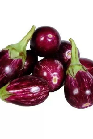 brinjal-vari-250-gms