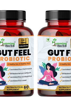 humming-herbs-gut-feel-probiotics-supplements-for-gut-health-25-billion-cfu-12-strains-improves-digestion-boot-immunity-60-capsules-pack-of-2