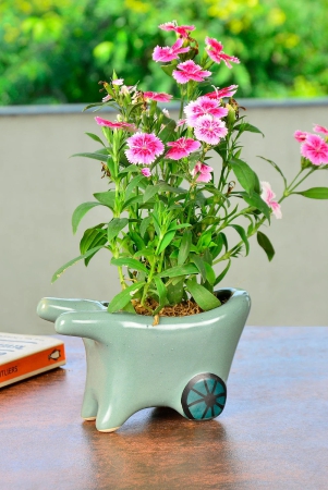 handpainted-ceramic-pushing-cart-planter-pot-green-l-x-b-x-h-14-cm-x-6-cm-x-8-cm