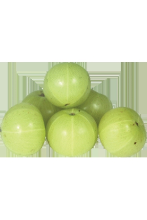 amla-gooseberry-100-gms