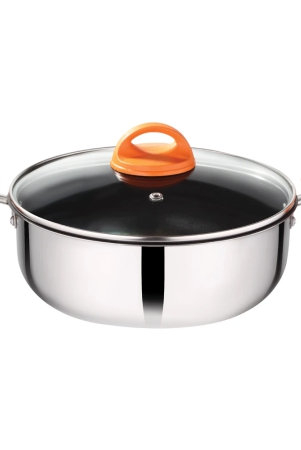 premier-stainless-steel-multipurpose-non-stick-pan-with-glass-lid-20cm