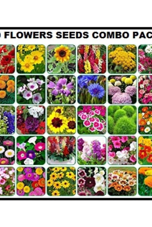 combo-pack-of-30-different-type-winter-summer-flower-plant-mix-500-seeds-combo-pack-with-cocopeat-and-user-manual