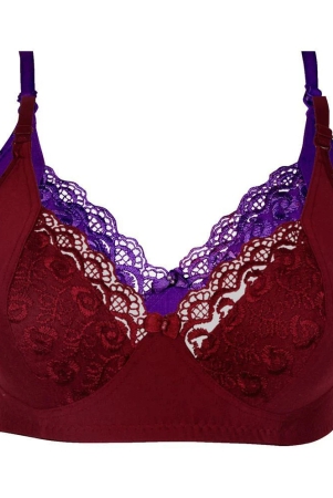 kiran-enterprises-cotton-minimizer-bra-maroon-none